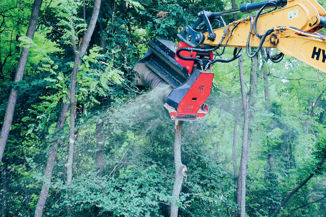 Mesin Dragone sebagai attachment excavator menghancurkan kayu besar